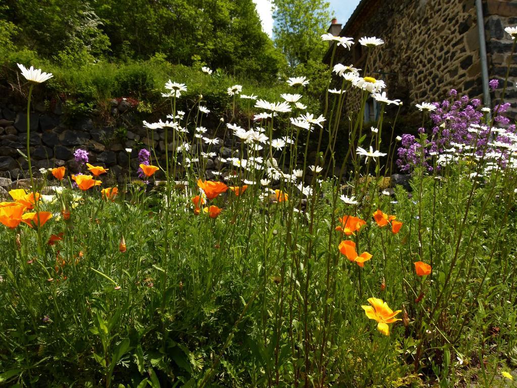 Bed and Breakfast Art Et Creation Saint-Bérain Exterior foto